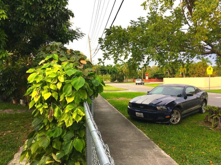 Miami Bungalow Oasis Near Everglades & The Keys 커틀러 베이 외부 사진