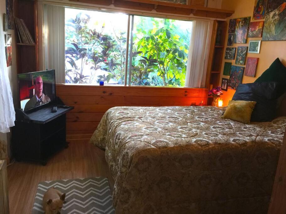 Miami Bungalow Oasis Near Everglades & The Keys 커틀러 베이 외부 사진