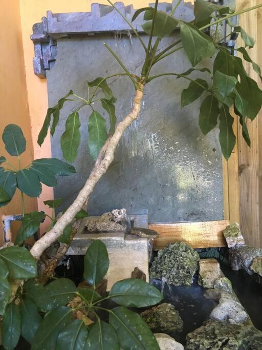 Miami Bungalow Oasis Near Everglades & The Keys 커틀러 베이 외부 사진