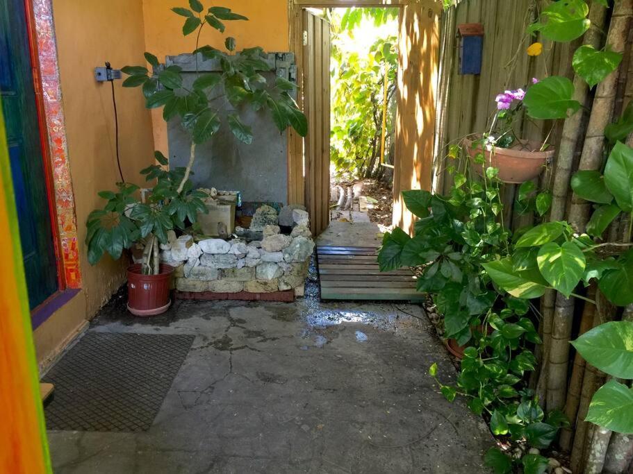 Miami Bungalow Oasis Near Everglades & The Keys 커틀러 베이 외부 사진